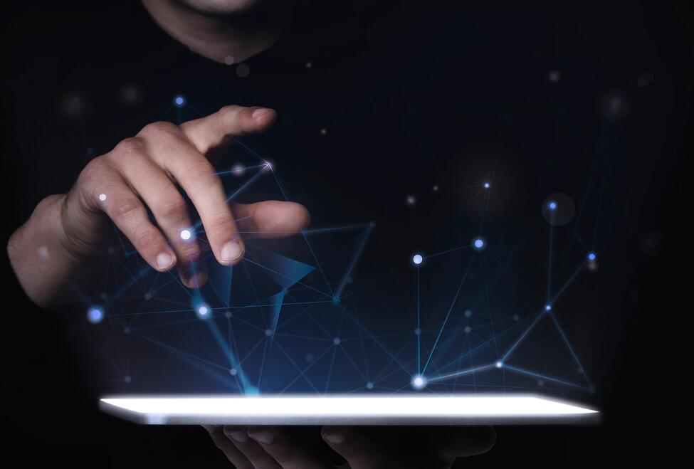 向日葵生长六个周期 向日葵的人生